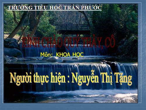 Bài 29. Tiết kiệm nước