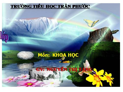 Bài 17. Phòng tránh tai nạn đuối nước