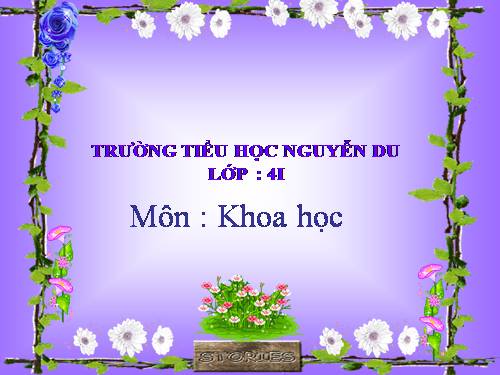 Bài 48. Ánh sáng cần cho sự sống (tiếp theo)