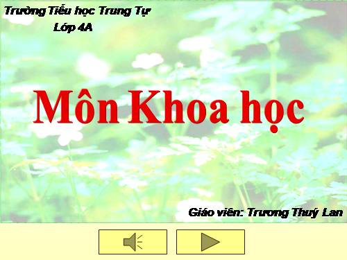 Bài 14. Phòng một số bệnh lây qua đường tiêu hoá