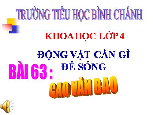 Bài 63. Động vật ăn gì để sống?