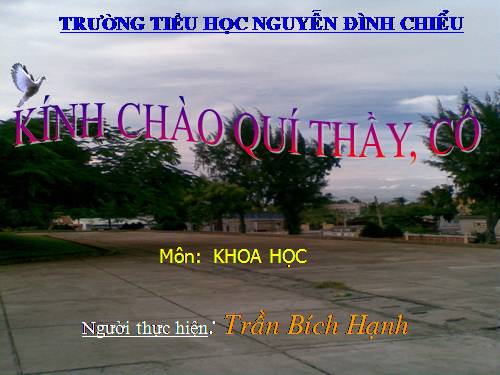 Bài 39. Không khí bị ô nhiễm