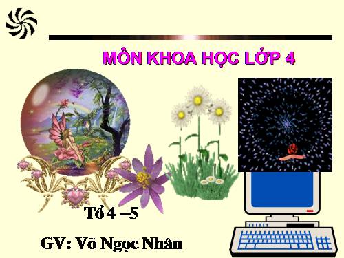 Bài 23. Sơ đồ vòng tuần hoàn của nước trong tự nhiên