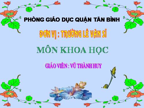 Bài 65. Quan hệ thức ăn trong tự nhiên