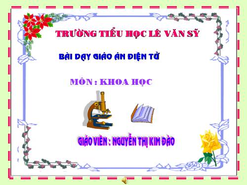 Bài 23. Sơ đồ vòng tuần hoàn của nước trong tự nhiên