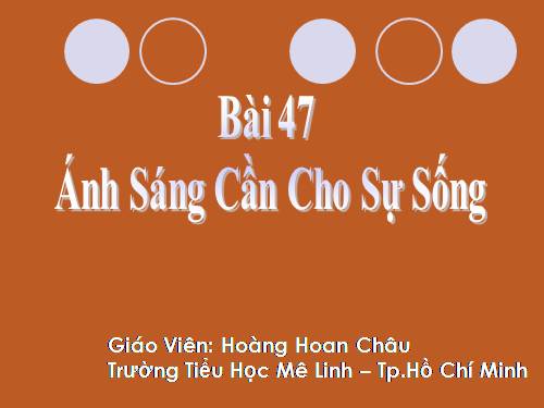 Bài 47. Ánh sáng cần cho sự sống