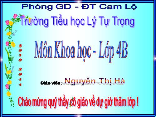 Bài 26. Nguyên nhân làm nước bị ô nhiễm