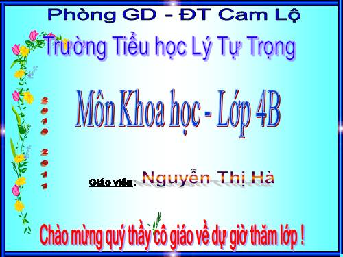 Bài 26. Nguyên nhân làm nước bị ô nhiễm