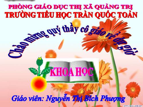 Bài 32. Không khí gồm những thành phần nào?