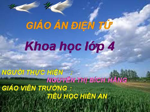 Bài 40. Bảo vệ bầu không khí trong sạch