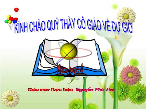 Bài 28. Bảo vệ nguồn nước