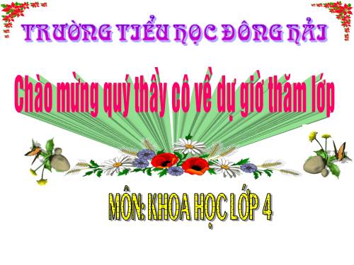 Bài 20. Nước có những tính chất gì?