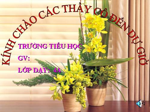 Bài 59. Nhu cầu chất khoáng của thực vật