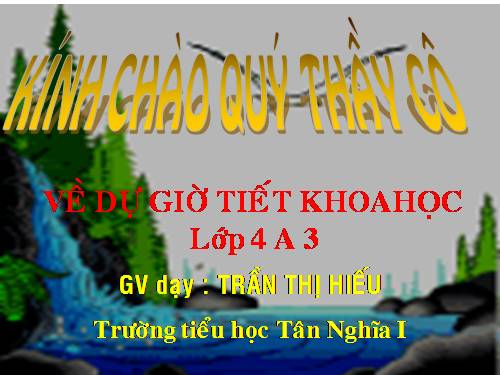 Bài 28. Bảo vệ nguồn nước