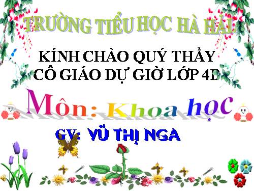 Bài 64. Trao đổi chất ở động vật