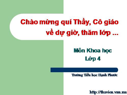 Bài 48. Ánh sáng cần cho sự sống (tiếp theo)