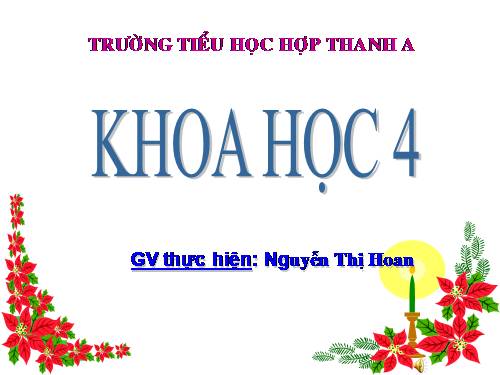 Bài 16. Ăn uống khi bị bệnh