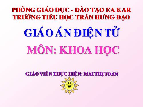 Bài 47. Ánh sáng cần cho sự sống