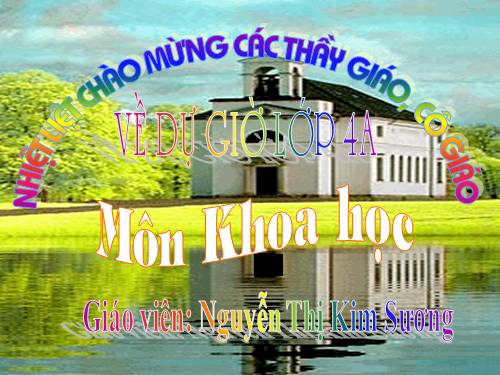 Bài 17. Phòng tránh tai nạn đuối nước