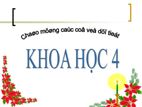 Bài 16. Ăn uống khi bị bệnh