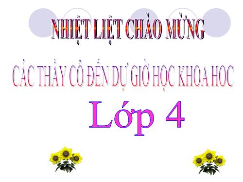 Bài 13. Phòng bệnh béo phì