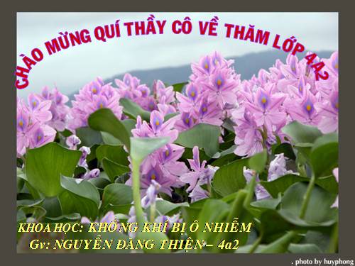 Bài 39. Không khí bị ô nhiễm