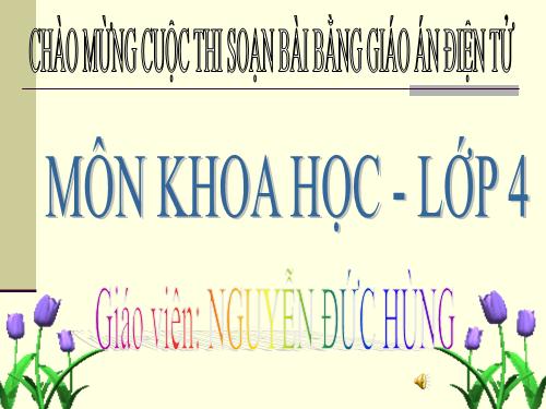 Bài 38. Gió nhẹ, gió mạnh. Phòng chống bão