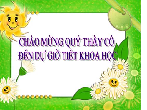 Bài 2. Trao đổi chất ở người