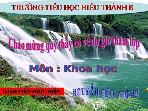 Bài 64. Trao đổi chất ở động vật