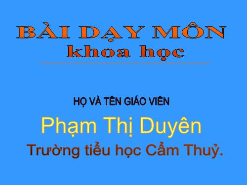 Bài 13. Phòng bệnh béo phì