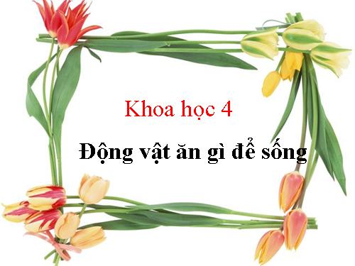 Bài 63. Động vật ăn gì để sống?