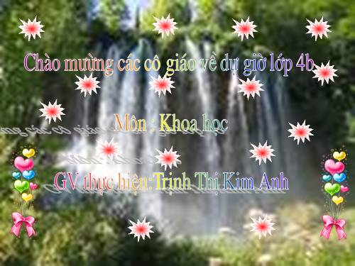 Bài 53. Các nguồn nhiệt
