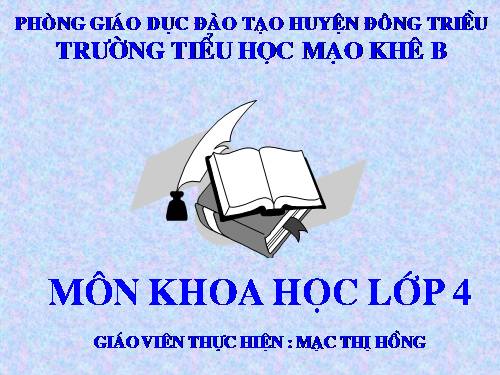 Bài 36. Không khí cần cho sự sống