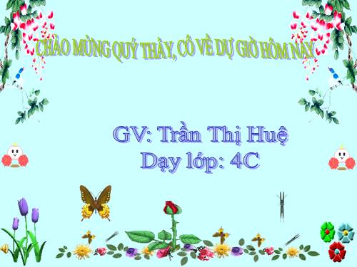 Bài 63. Động vật ăn gì để sống?