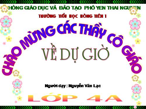 Bài 67 - 68. Ôn tập: Thực vật và động vật
