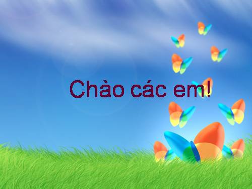 Bài 63. Động vật ăn gì để sống?