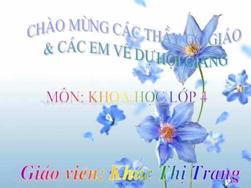 Bài 17. Phòng tránh tai nạn đuối nước