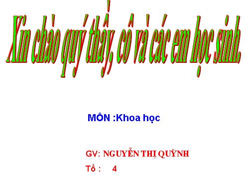 Bài 59. Nhu cầu chất khoáng của thực vật