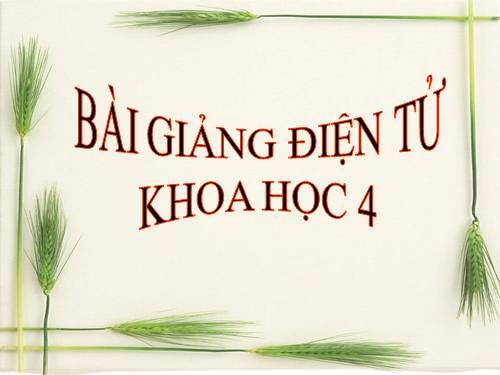 Bài 24. Nước cần cho sự sống