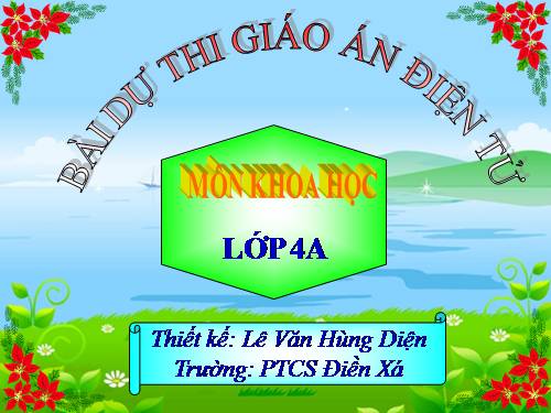 Bài 45. Ánh sáng