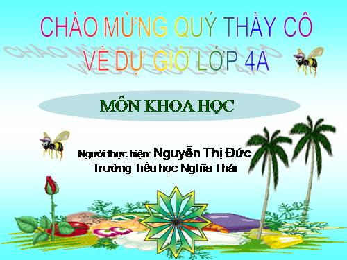 Bài 59. Nhu cầu chất khoáng của thực vật