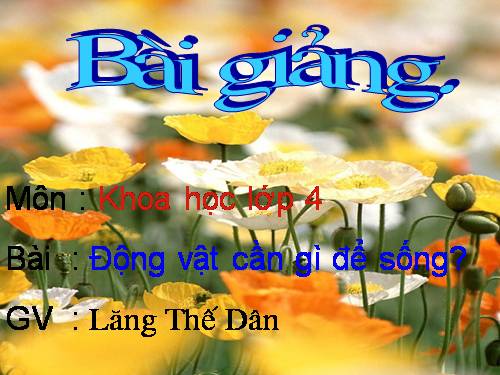 Bài 62. Động vật cần gì để sống?