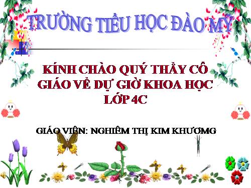 Bài 63. Động vật ăn gì để sống?