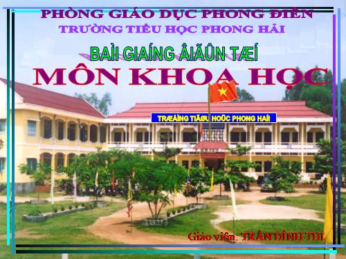 Bài 22. Mây được hình thành như thế nào? Mưa từ đâu ra?