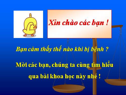 Bài 15. Bạn cảm thấy thế nào khi bị bệnh?