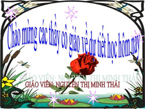 Bài 40. Bảo vệ bầu không khí trong sạch
