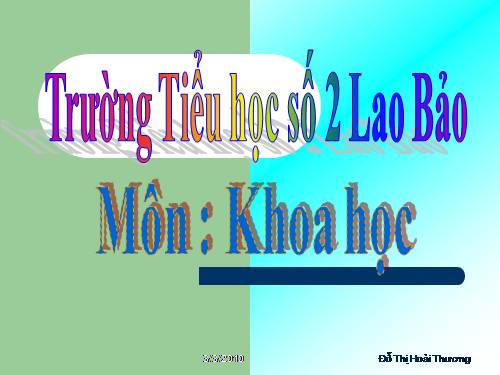 Bài 48. Ánh sáng cần cho sự sống (tiếp theo)