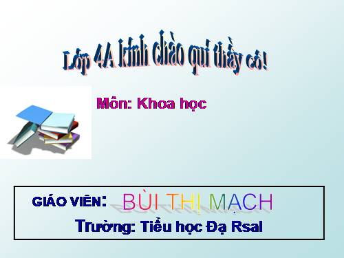 Bài 47. Ánh sáng cần cho sự sống