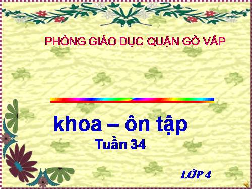 Bài 33 - 34. Ôn tập và Kiểm tra Học kì I