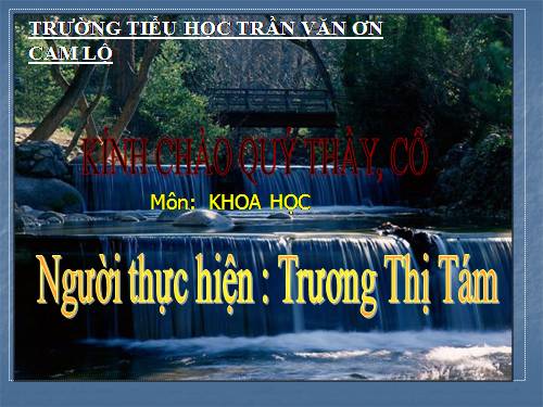 Bài 29. Tiết kiệm nước